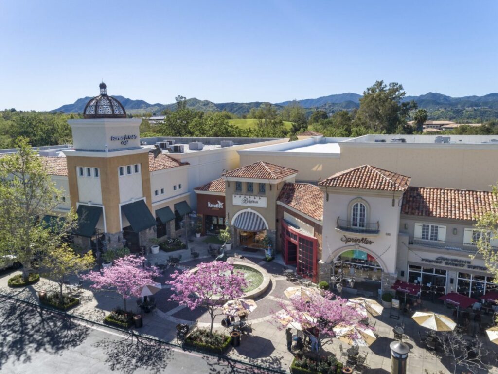 Outdoor shopping plaza with pink blossoming trees
