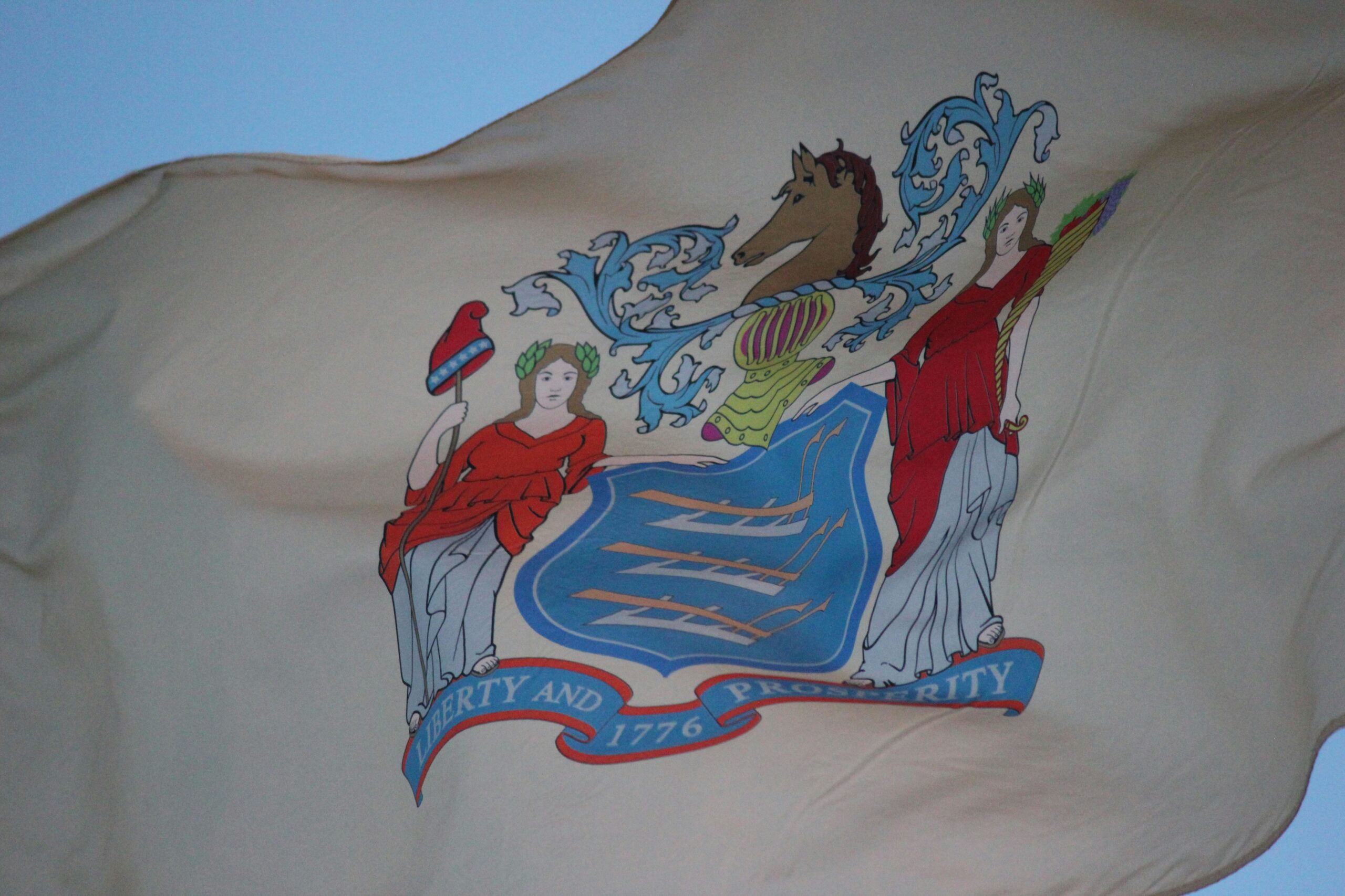 New Jersey State Flag
